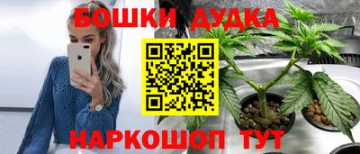 мескалин Кингисепп