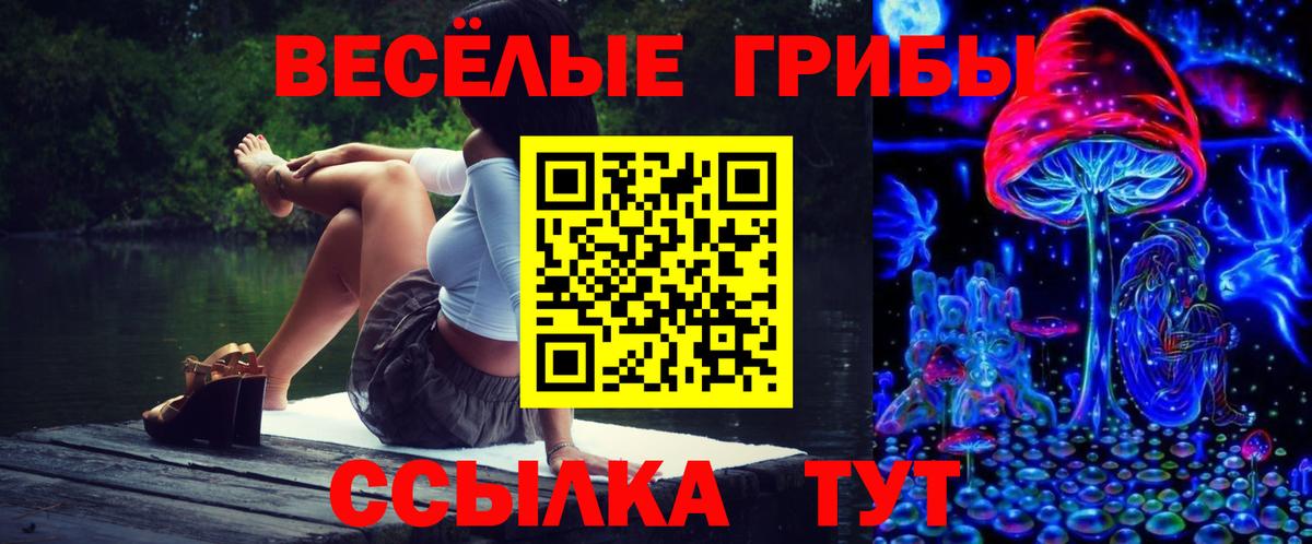 Волхов  Галлюциногенные грибы GOLDEN TEACHER  Вход с VPN 